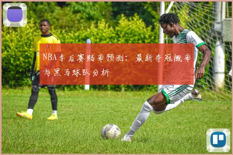 NBA季后赛赔率预测：最新夺冠概率与黑马球队分析