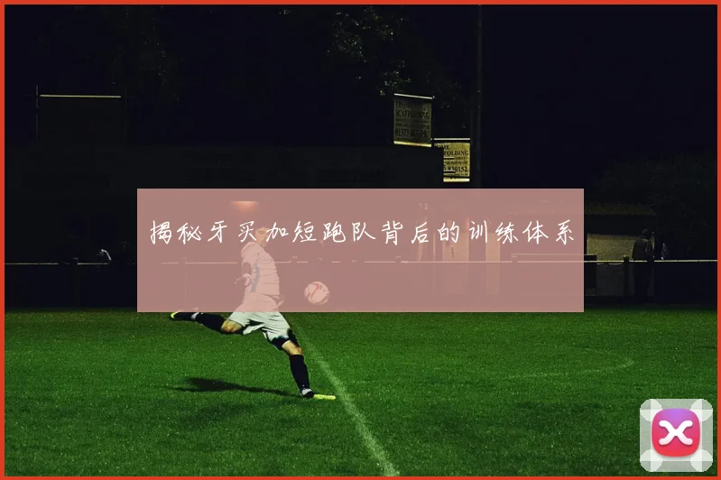 揭秘牙买加短跑队背后的训练体系